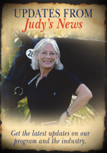Judys News Box