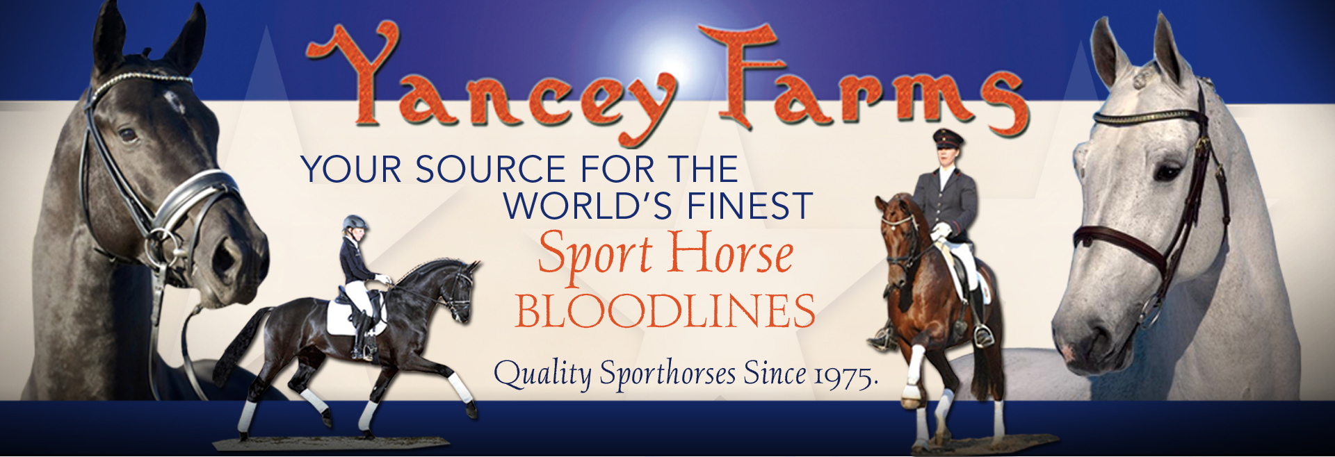 Yancey Farms Slider