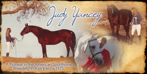 Judy Yancy - A Pioneer in the American Sporthorse Breeding Industry since 1975.